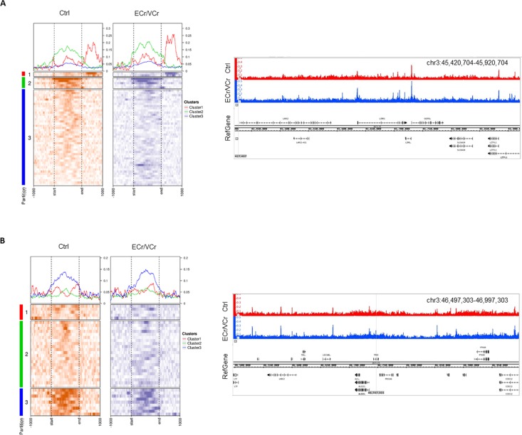 Figure 6—figure supplement 1.