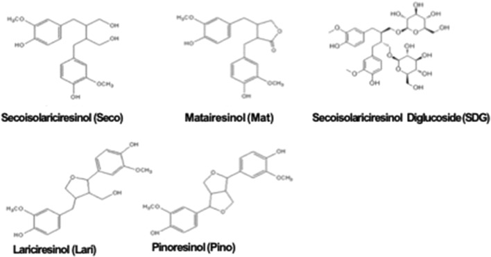 Fig. 1