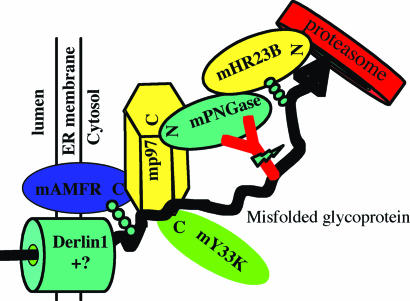 Fig. 6.