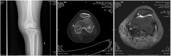 Fig. 10