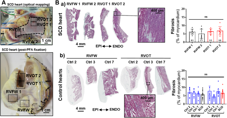 Figure 5