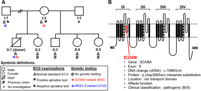 Figure 1