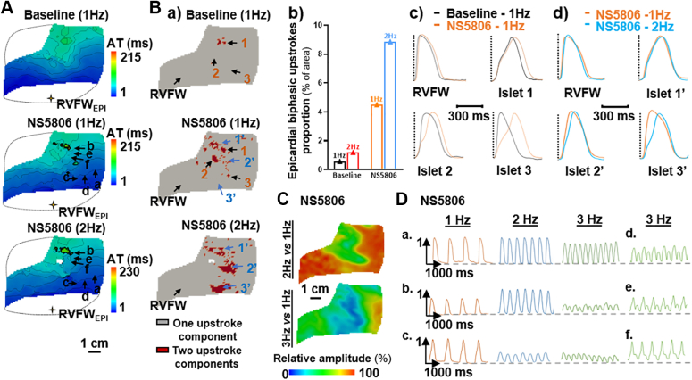 Figure 4