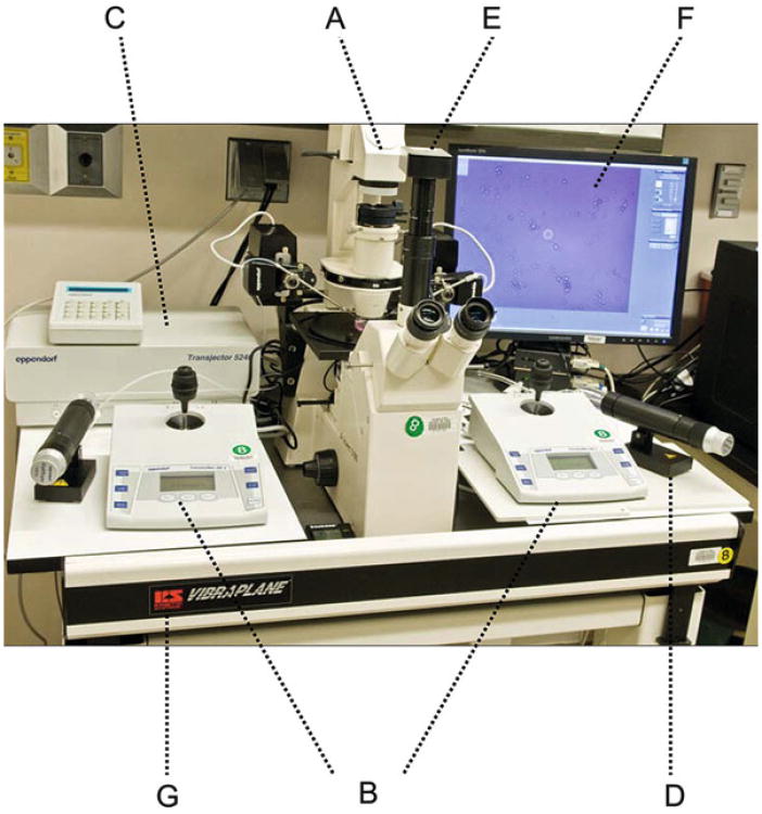 Fig. 1