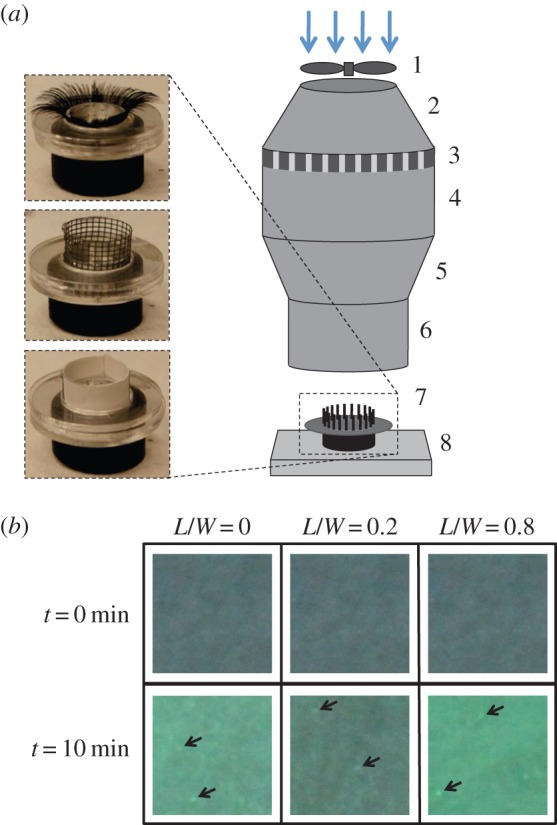 Figure 2.