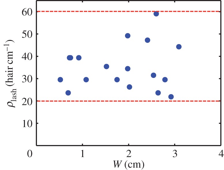 Figure 5.