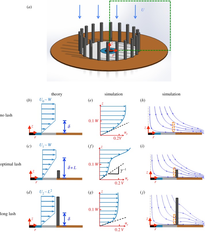 Figure 7.