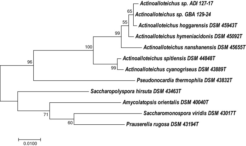 Fig. 1