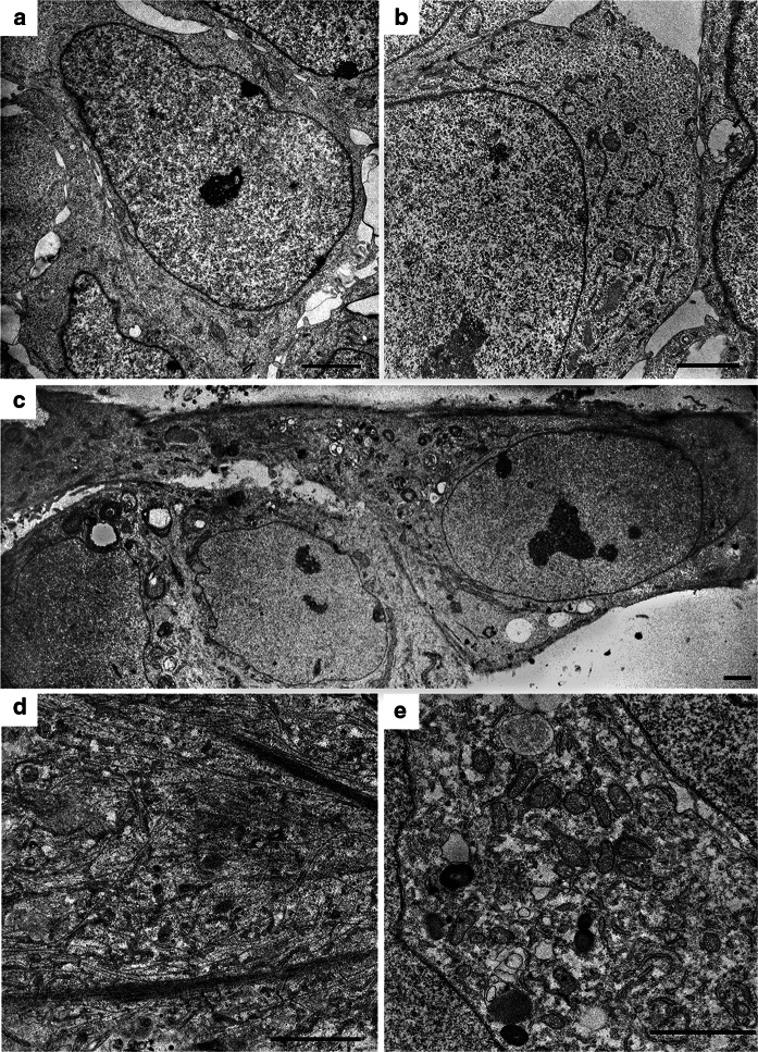 Fig. 4