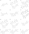 Fig. 5