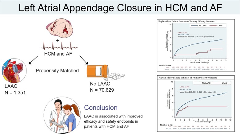 Graphical Abstract