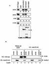 FIG. 2.