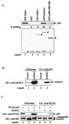 FIG. 5.