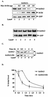 FIG. 4.