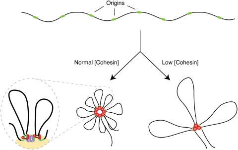 Figure 7.