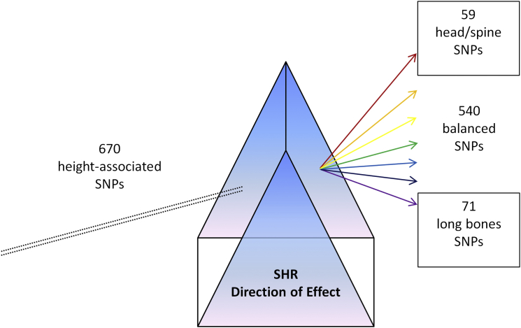 Figure 9