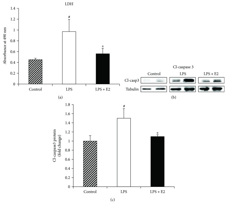 Figure 10