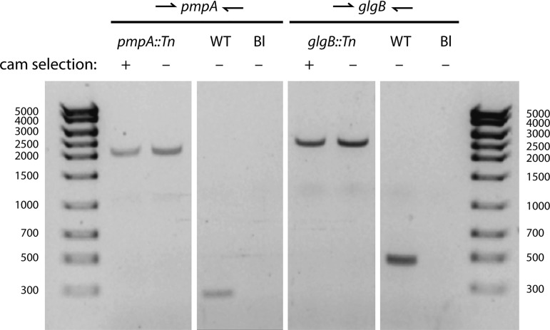 FIG 3