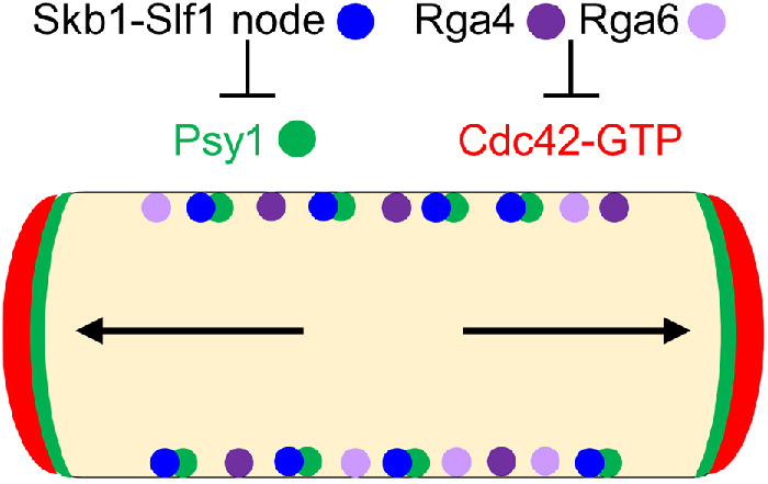 FIGURE 9: