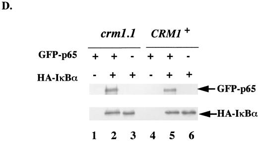 FIG. 6