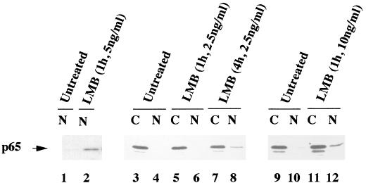 FIG. 8