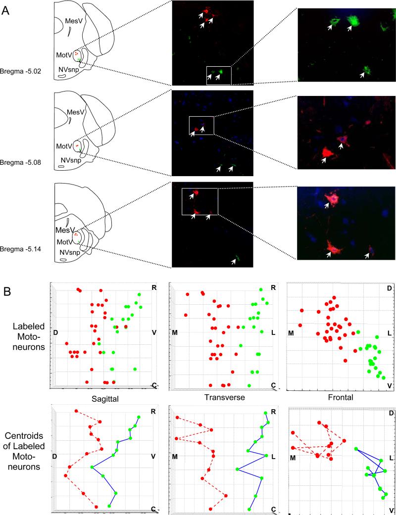 Figure 4