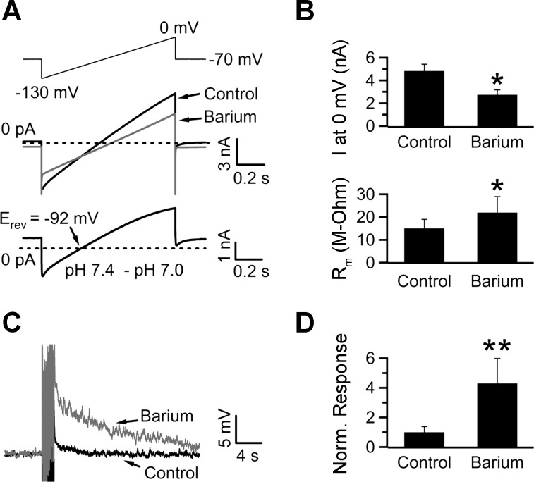 Fig. 6.