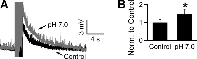 Fig. 8.