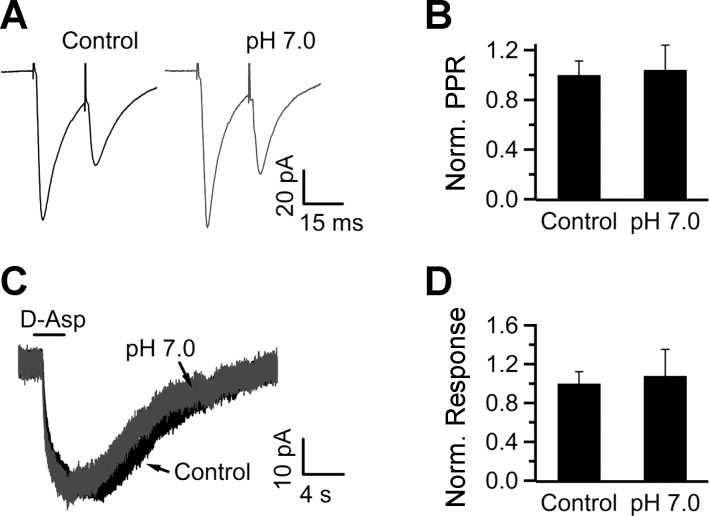 Fig. 9.