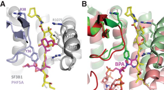 Figure 6.