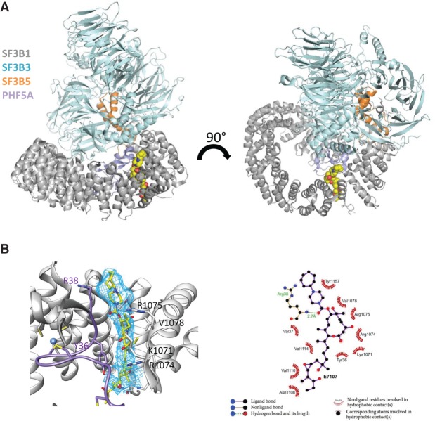 Figure 3.