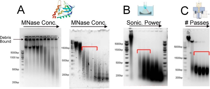 Figure 2.