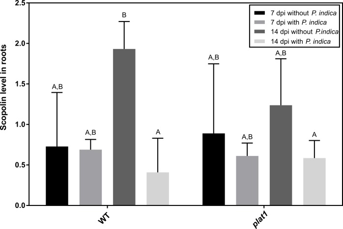 Fig 6