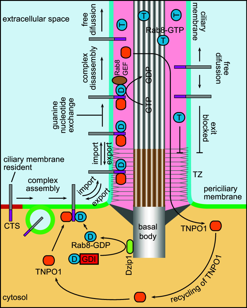 Fig. 3