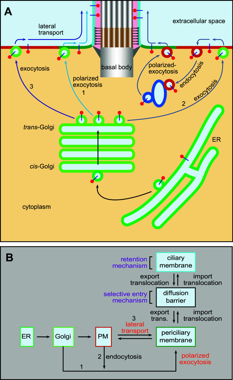 Fig. 2