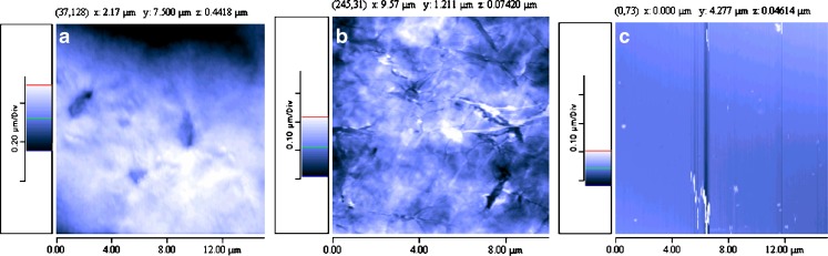 Fig. 1