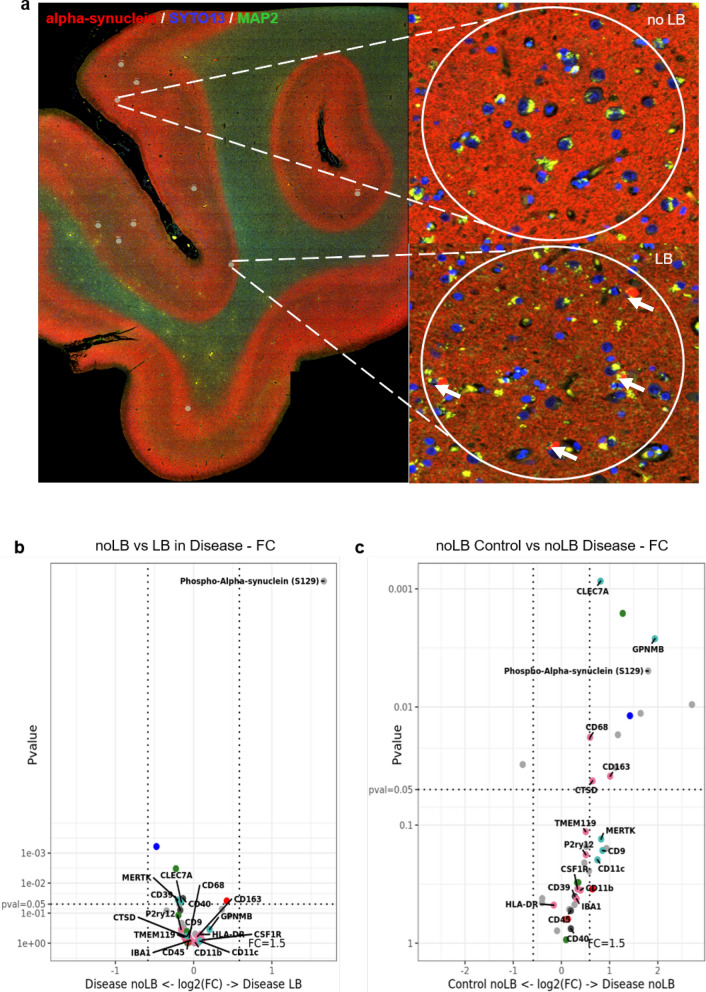 Fig. 6