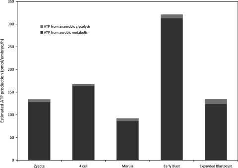 Figure 1: