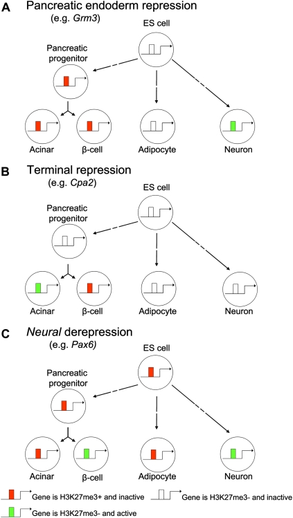 Figure 7.