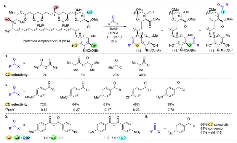 Figure 21