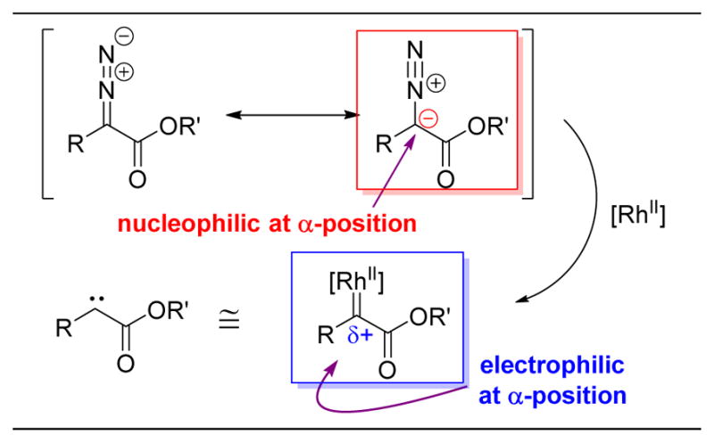 Figure 24