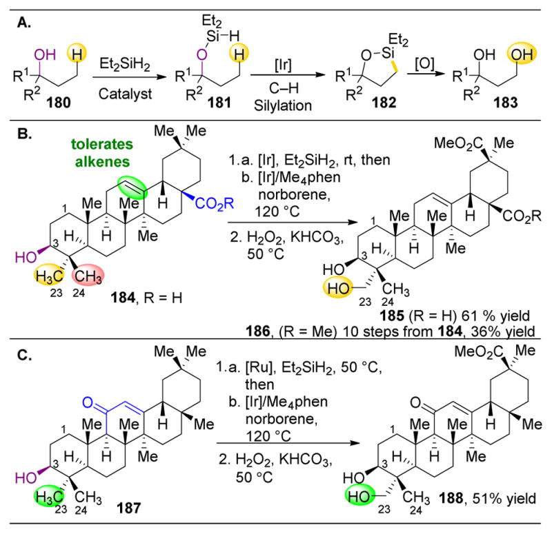 Figure 31