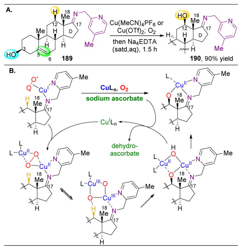 Figure 32