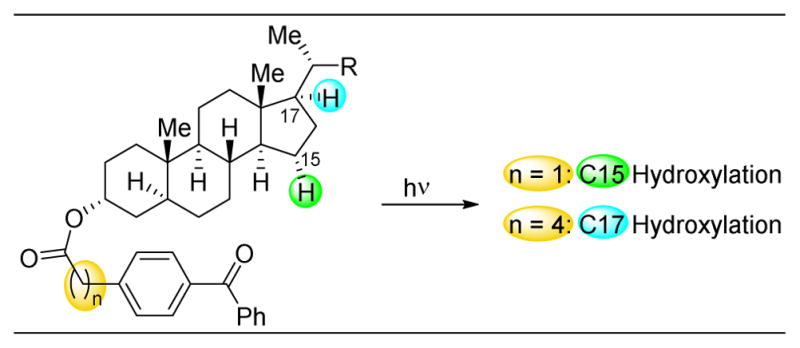 Figure 28