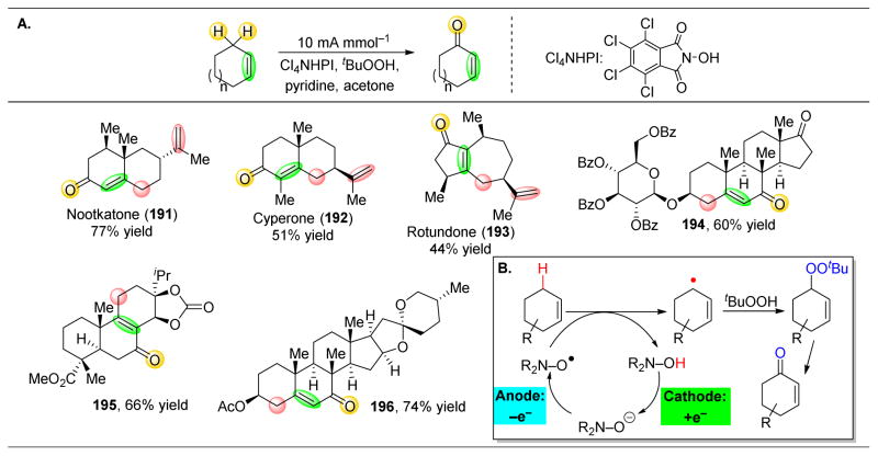 Figure 33