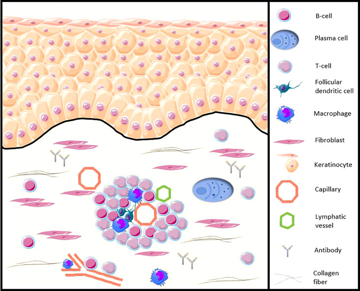 Figure 1