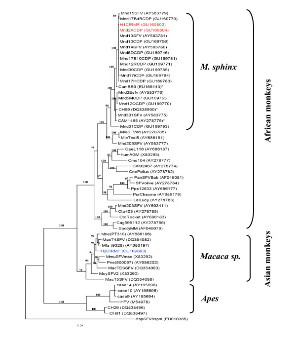 Figure 6