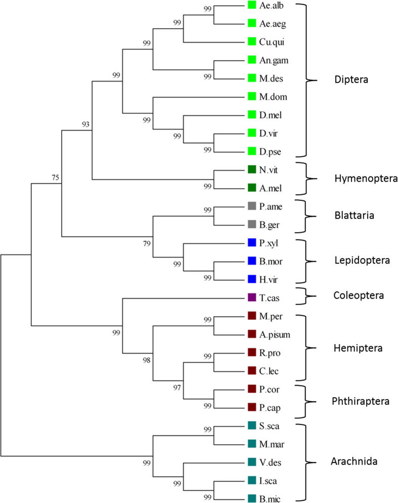 Fig. 7