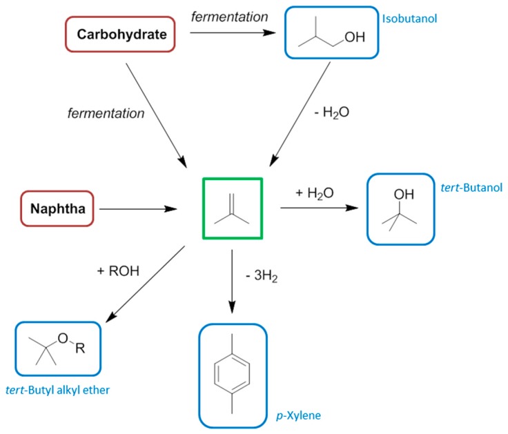 Scheme 8