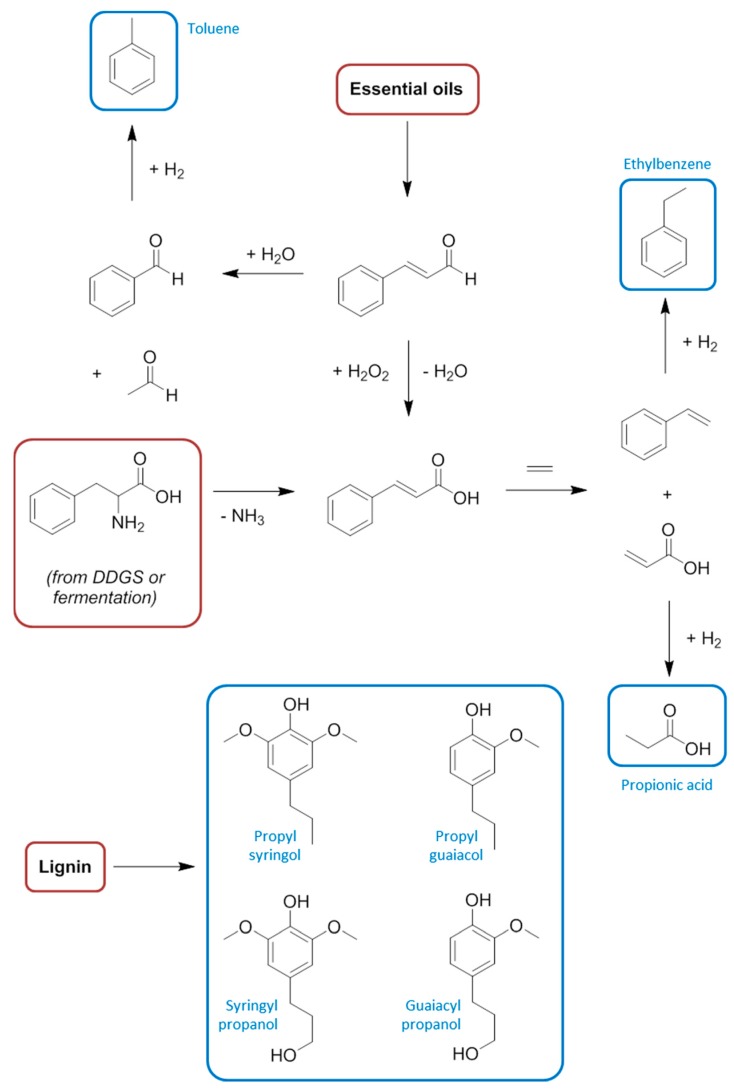 Scheme 10